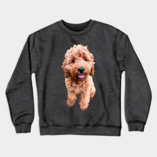 Cockapoo Cavapoo Labradoodle Goldendoodle Doodles Crewneck Sweatshirt